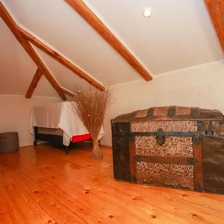 Lisette * تْسْغيكفانِتْسا